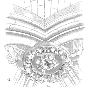 Drawing of Clef voute cathedrale Carcassonne