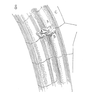 Sketch of Claveaux XIIIe et XIVe siecles