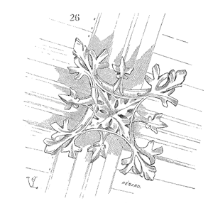 Drawing of Clef voute XVe siecle