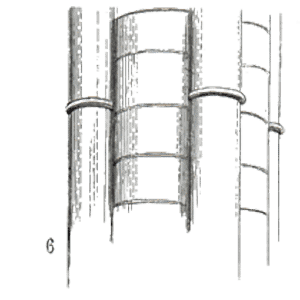 Sketch of Bague colonne cathedrale Salisbury