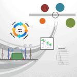 Seminar: Reliability Testing Outputs as Program Inputs