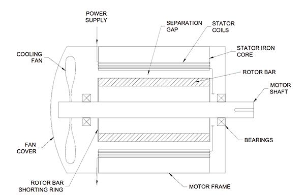 Figure 1. A simple cage induction electric motor design. 