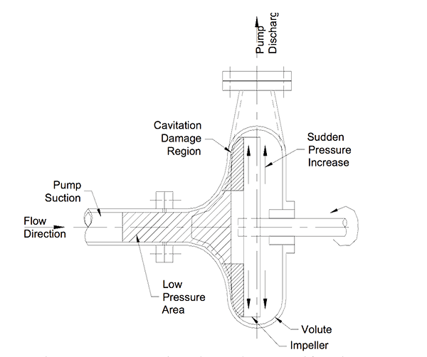 Figure No. 1 Section through a centrifugal pump.