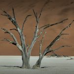 Fault Tree Analysis (FTA)